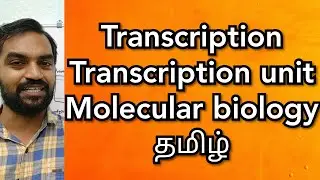 Transcription | Transcription unit | Tamil