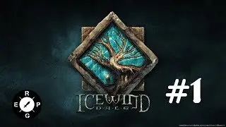 Icewind Dale Remastered Old School #2