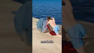 Como Ayudar A Un Tiburón Encallado 😨