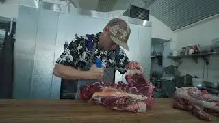 Griffith Livestock