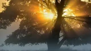 Stupendo - Le meraviglie del mondo