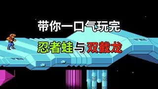 【忍者蛙与双截龙】【Battletoads/Double Dragon】这游戏你能通关吗——FC末世巨作