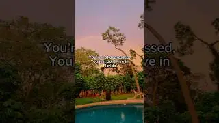 You’re Not Depressed You Just Don’t Live In ✨Florida✨