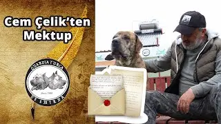 Cem Çelik'ten Mektup