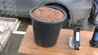 Ярмарка голубей г.Славянск-на-Кубани 21.01.2024г. 2часть