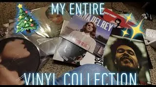My Entire Vinyl Record Collection || 2020 (For now...)