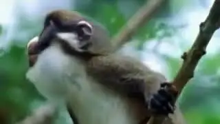 Anziani con la patente