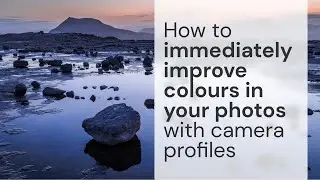 How to immediately improve colours in your photos with camera profiles
