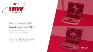 Mindray Vetus E7: How to Save Images and Clips