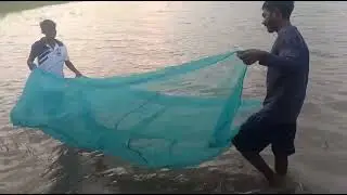 Best fishing Technique | Fishing For Baam & Tilapia To Catch With Single hook | Unique Fishing Video