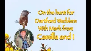 Dartford Warbler Wander with Camilla and I || Birding || Bird Photography with the Canon R5