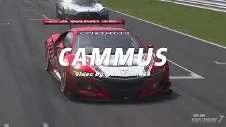 CAMMUS sim racing
