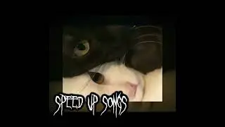 плейлист рандомных песен |speed up playlist|5