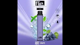 FLIE X 5000 PUFF