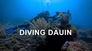 Diving Dauin - 4K Sony a6700 Underwater