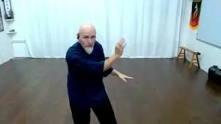 Fujian White Crane Kung Fu