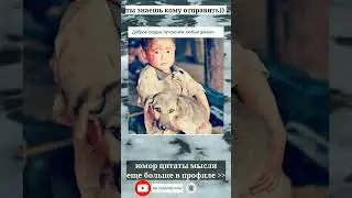тик-ток shorts