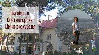 Октябрь в Светлогорске. Рынок, мини экскурсия по городу