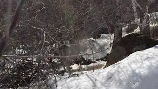 Водопад Могак.