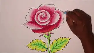 How to Draw Simple Rose Flower With Colours for Kids || By Weekend Art || #Episode1