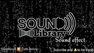 Dolphin - Sound Effect (HD) 🎧