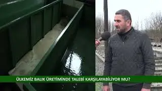 Gölyaka'da, Türk somonu üretimi ! Toprak TV