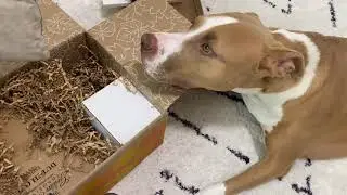 FabFitFun Fall 2021 Box Opening