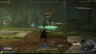 bonk