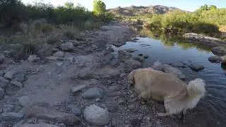 Tanque Verde Wash