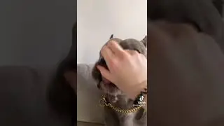 хорошая погремушка.прикол🤣 #shorts. #tiktok