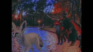 Wcmv Калым