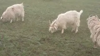 #Самый