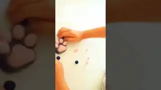 Сквиш лапа 