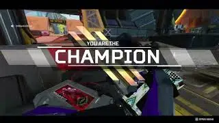 Apex PUBS and DUBS