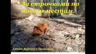 За строчками по новым местам