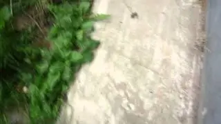 ПРИКОЛЫ ПО ДОМОФОНАМ. (ЧАСТЬ 4) :D