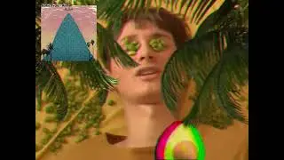 Scuba Dvala - Anthill