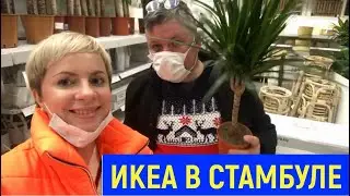 ИКЕА в Стамбуле / предновогодний шопинг в Стамбуле / влог №2
