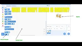 What are script blocks in Scratch?