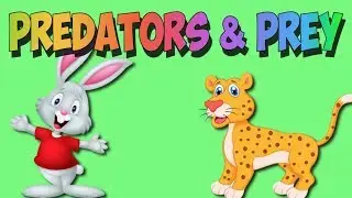 Predator & Prey Song