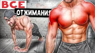 All existing push-ups from the floor and what muscles they pump