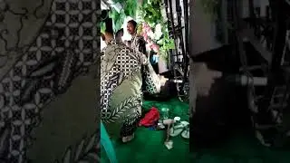 DETIK DETIK !!!KETIPUNG JATUHH😲😲