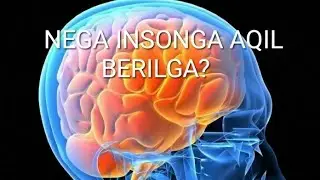 Abdulloh domla Ollon insonga aqilni nimaga bergan?