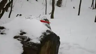 Испытания системы спасения ракеты.