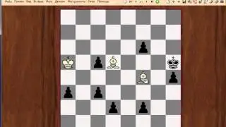 Как ходит слон