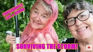 Damage to our neighborhood...