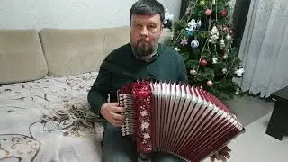 Гармонь звучит🔥/Ми-мажор/Играет Павел Бузин
