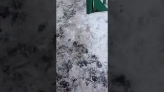 Идём за сменкой