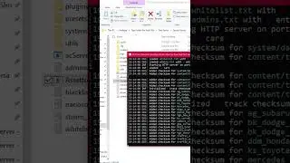 Assetto Server - Missing Extra cfg 