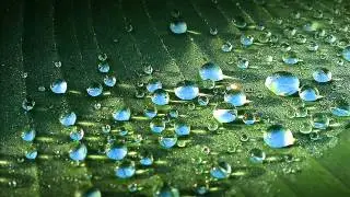 Sviatoslav Richter - Beethoven Sonata op.111 (1974))